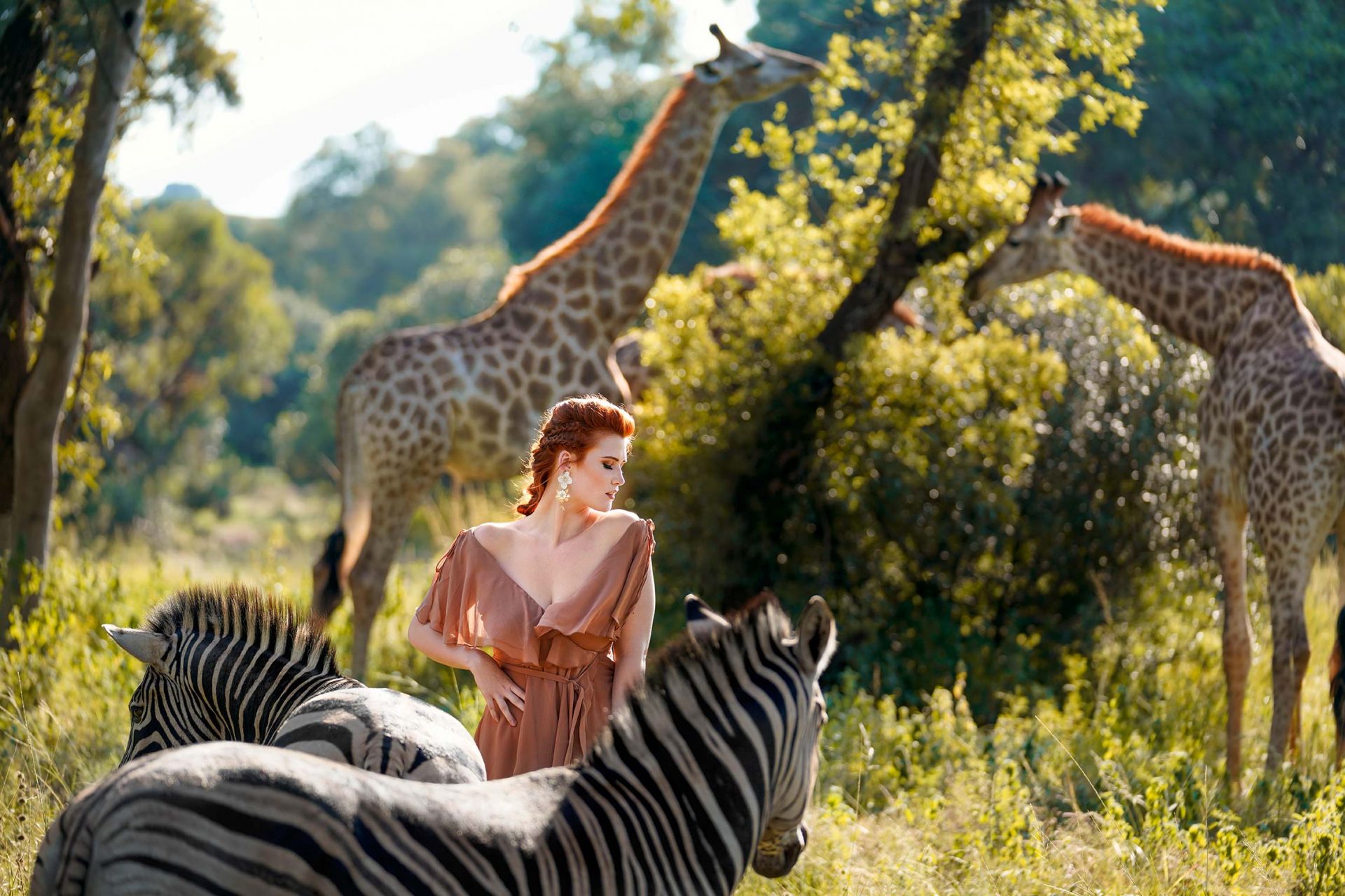 Giraffen und Zebras mit Modell