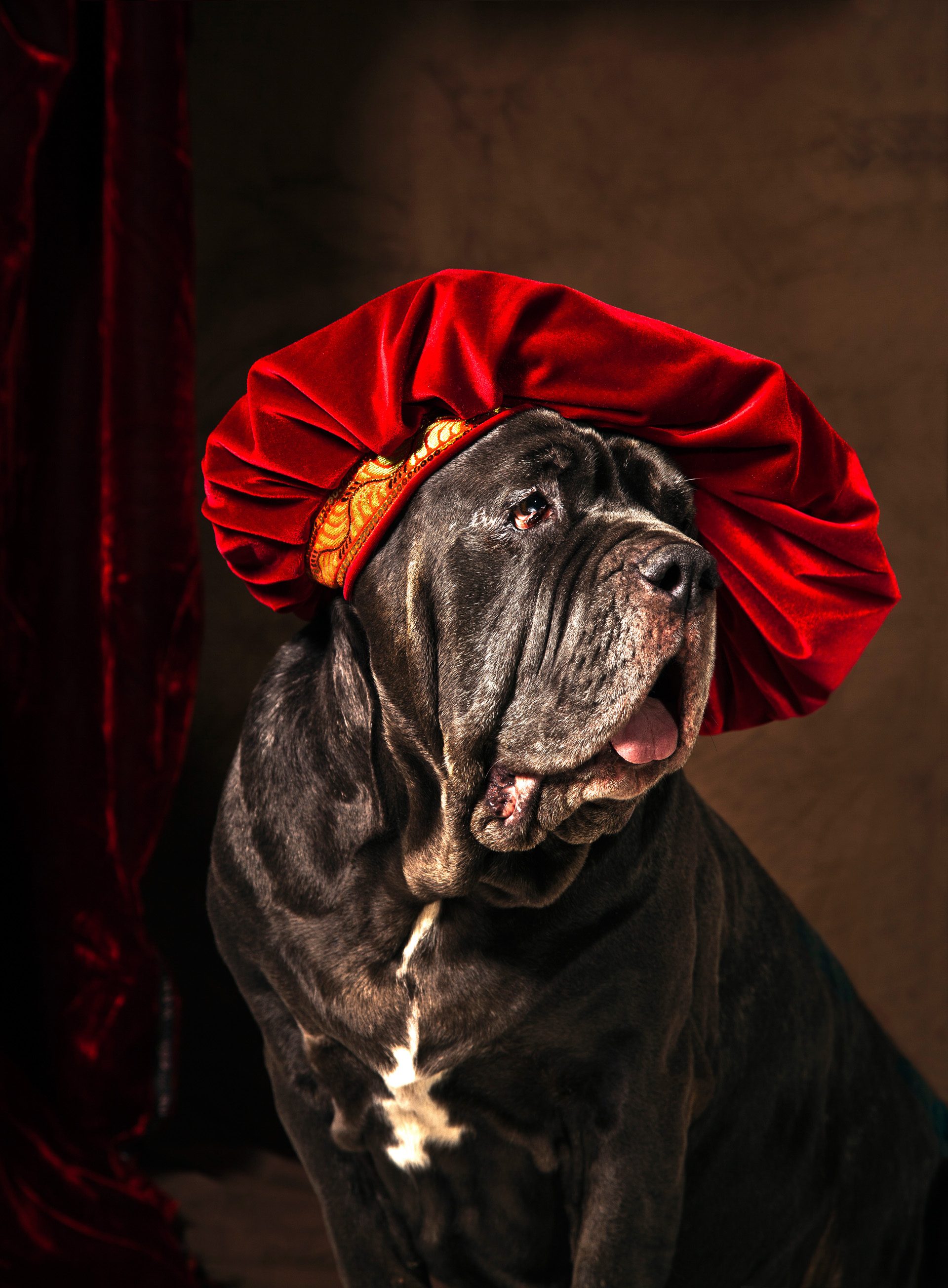 mittelalterliche portraits Hundegemälde