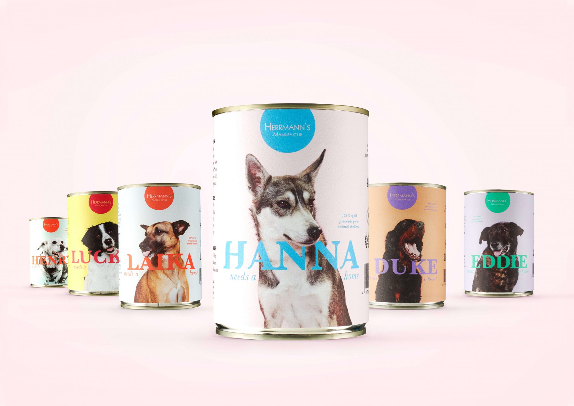 Shooting mit echten Tierheimhunden