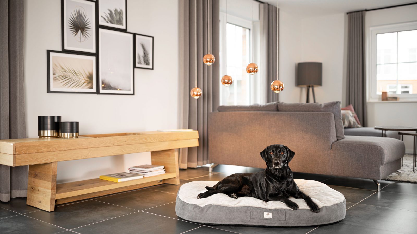 Sabro Hundebetten Locationshooting