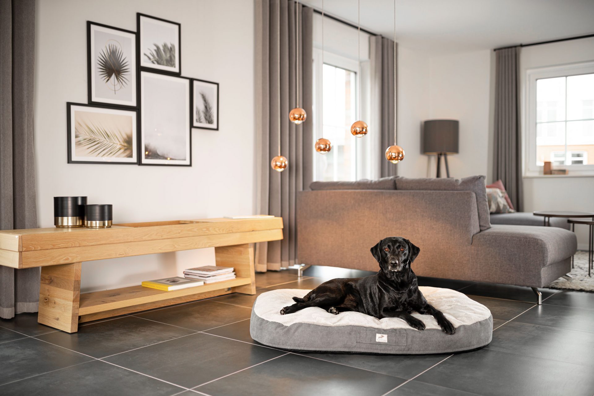 Sabro Hundebetten Locationshooting